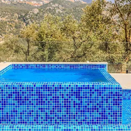 Juniper * Kalkan